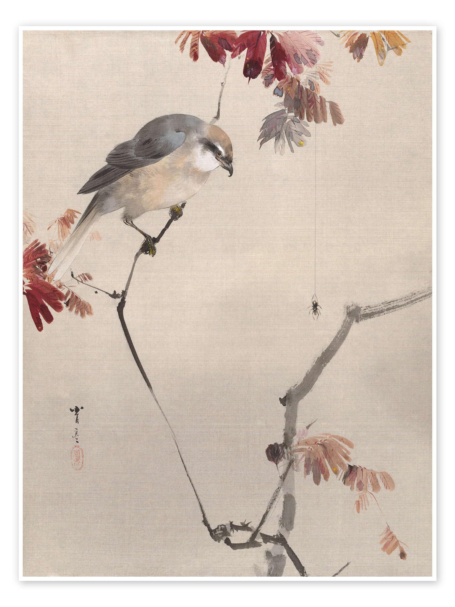 Bird on Branch Watching Spider Plakat