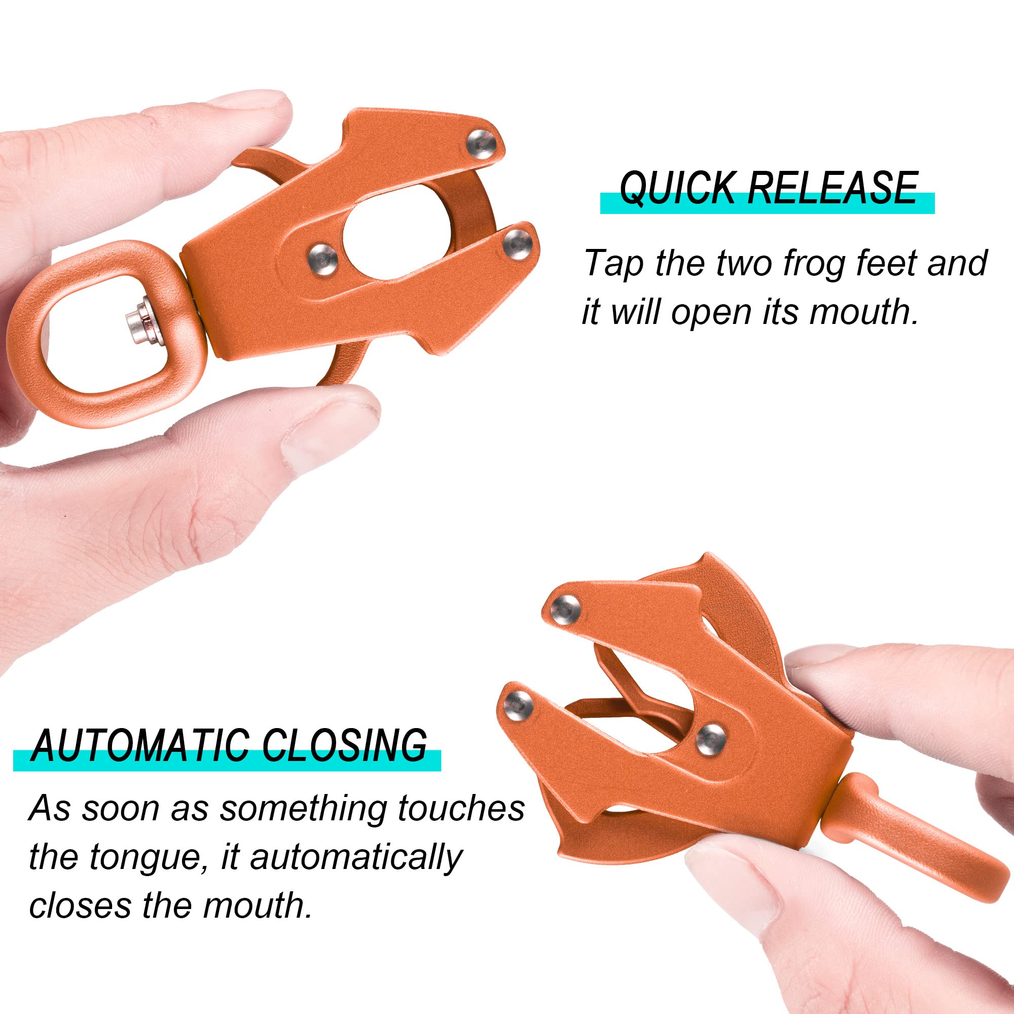 View 2