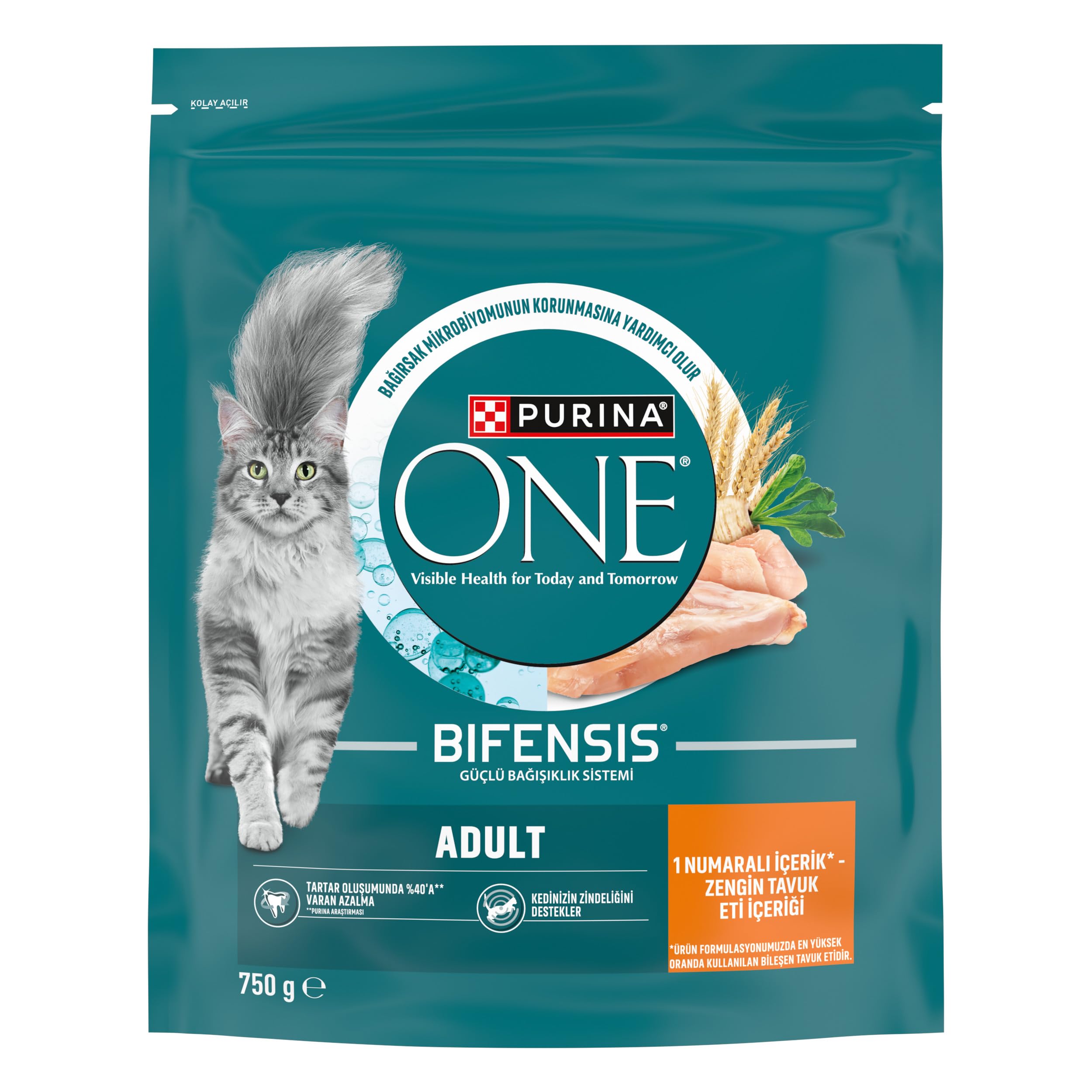 Purina ONE Tavuklu Yetişkin Kuru Kedi Maması 750g