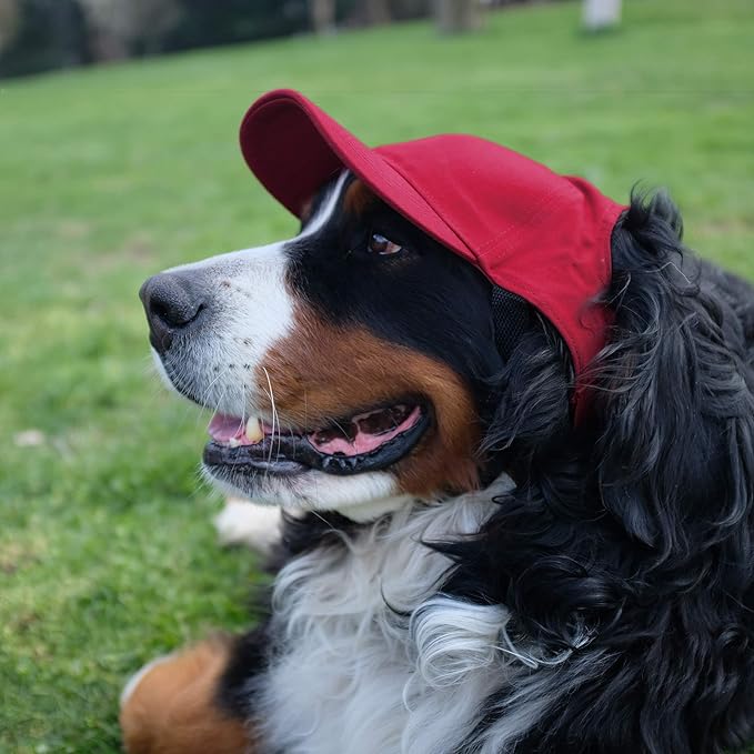Littlearth Gorra de Béisbol para Mascota USC Trojans miniatura 5