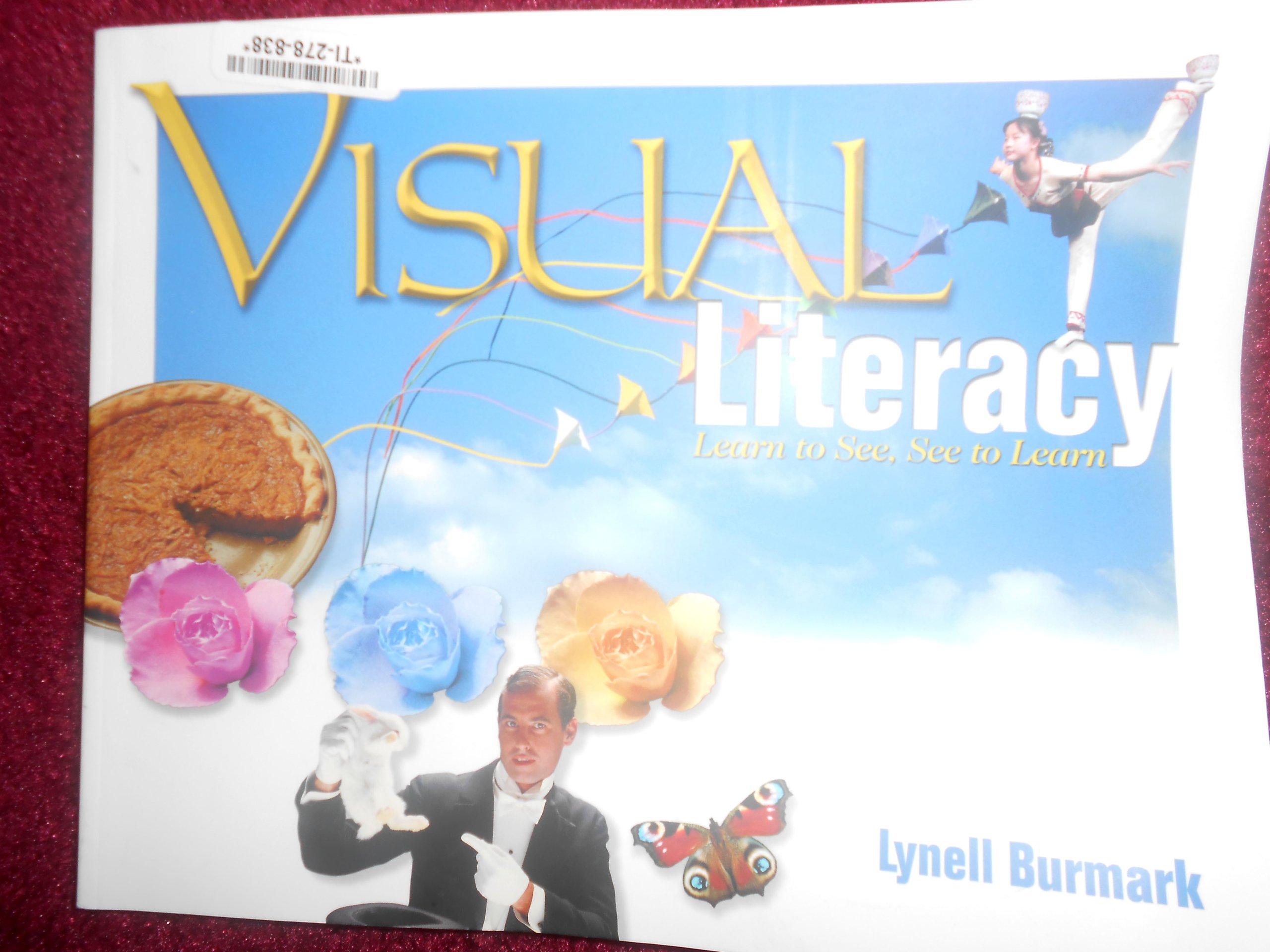 Visual Literacy: Learn to See, See to Learn