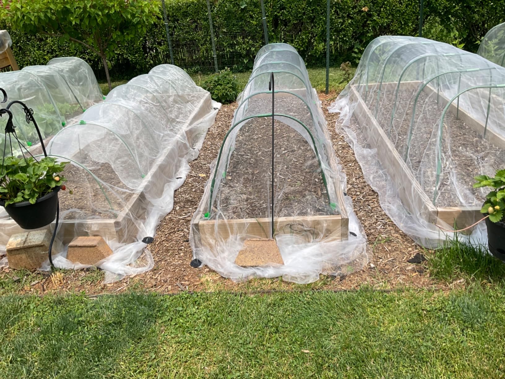 Large Garden Netting