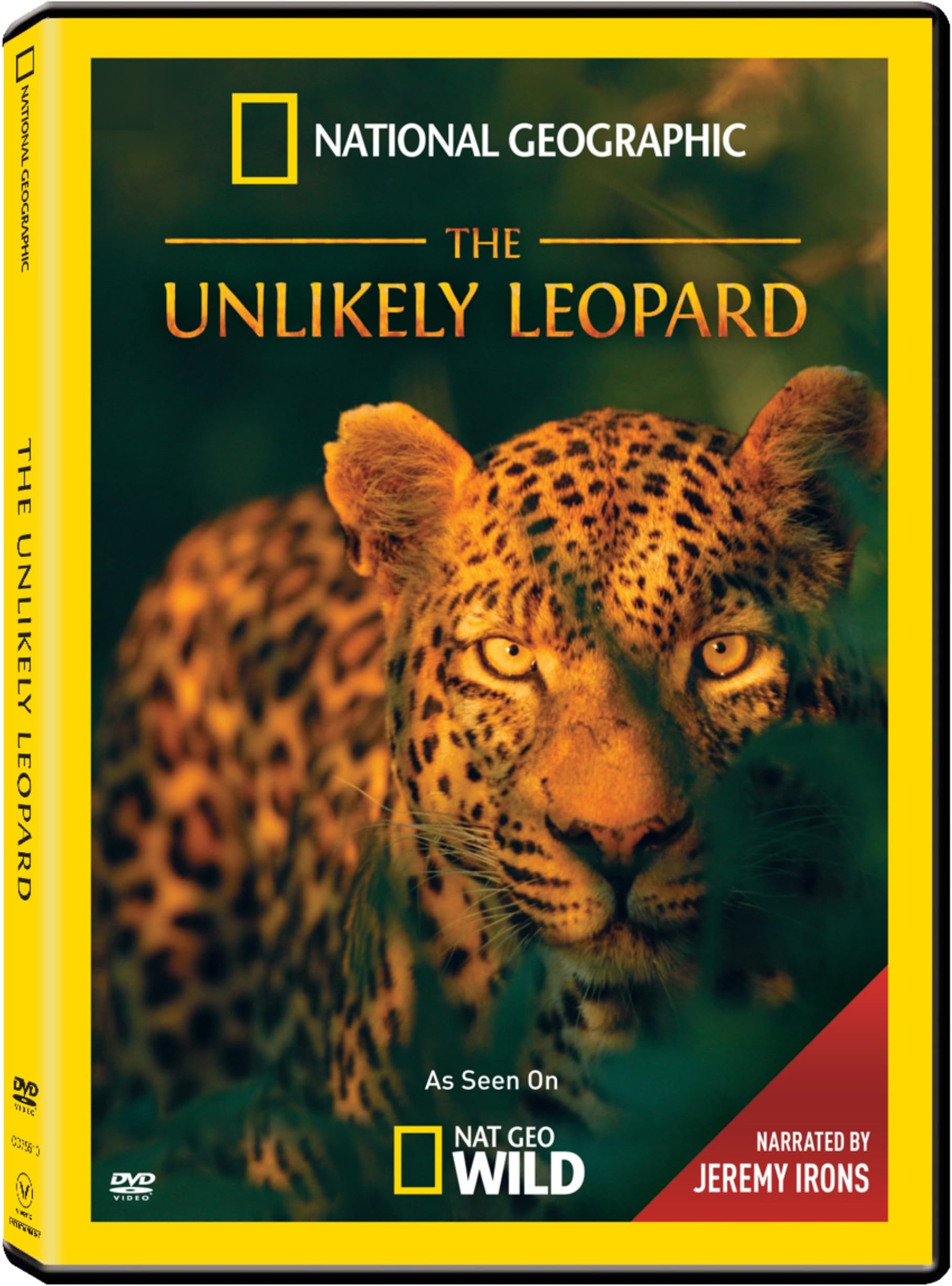 The Unlikely Leopard