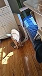 Review Image by Verified Amazon Customer Verified Amazon Customer
