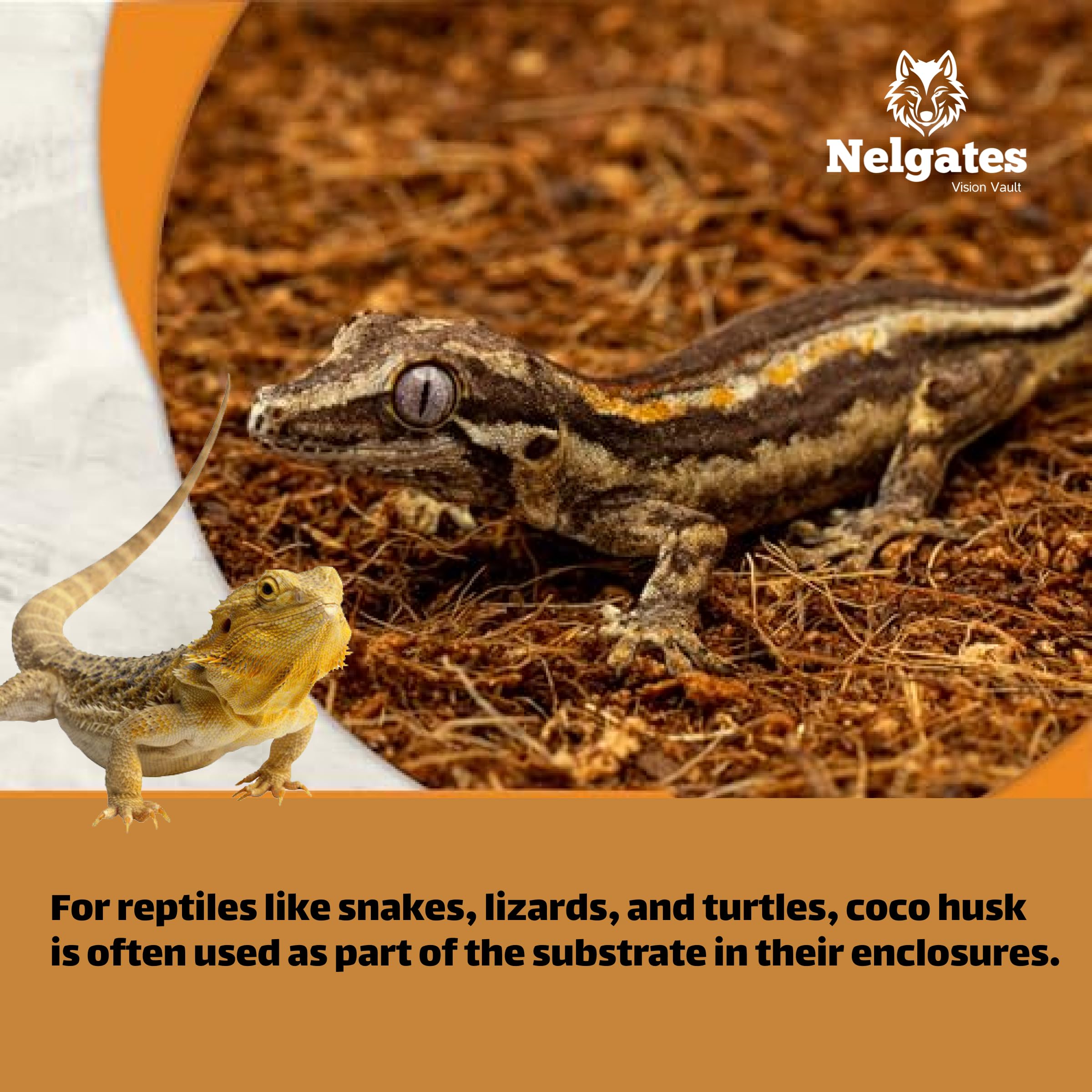 Nelgates Reptile Coconut chip Bedding 650g Organic Coco Husk Block for Snake Habitat, Ball Python Terrarium,Tortoise Enclosure 3