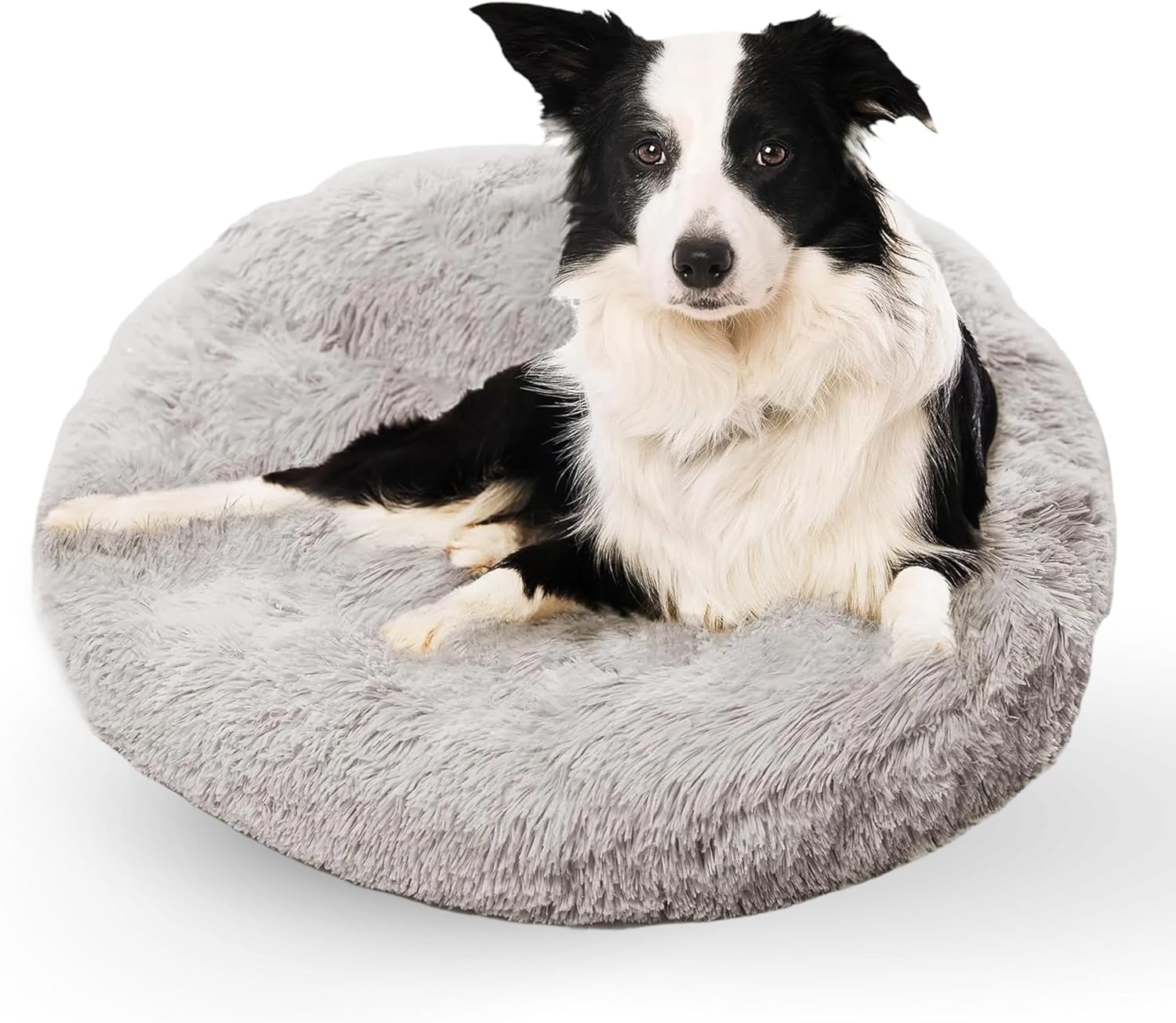 Active Pets Medium Dog Bed, Calming Orthopedic Pet Bedding for Anxiety Relief, Joint Support & Comfort, Washable Dog Furniture, Med 45lbs, Light Grey Medium 30" Light Grey