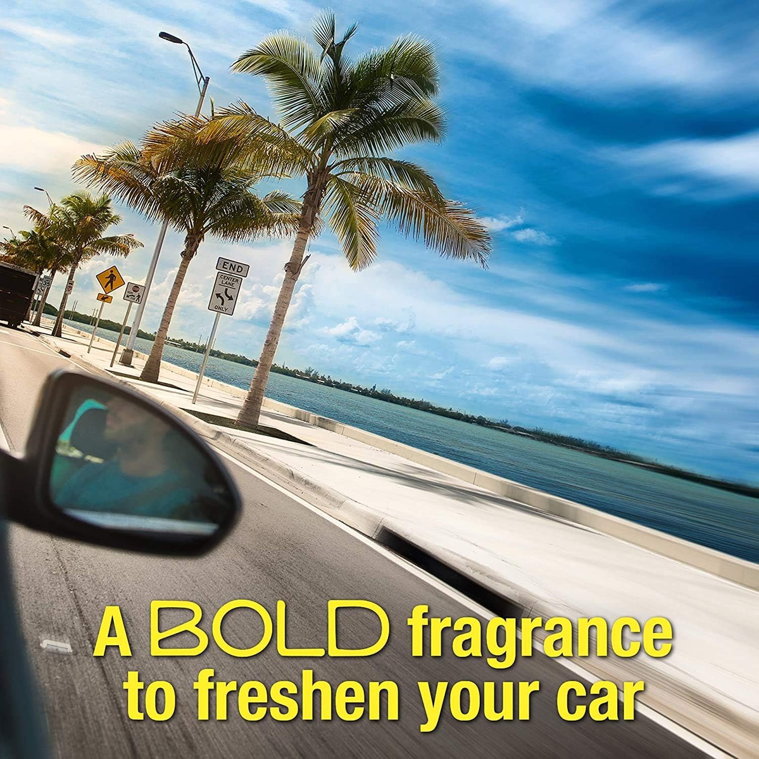 California Scents Ambientador de Coche con Fragancia, Olor y Esencias a Newport New Car, Olor a Aroma de Coche Nuevo, Pack de 12 Latas, 1 Unidad (Paquete de 12)
