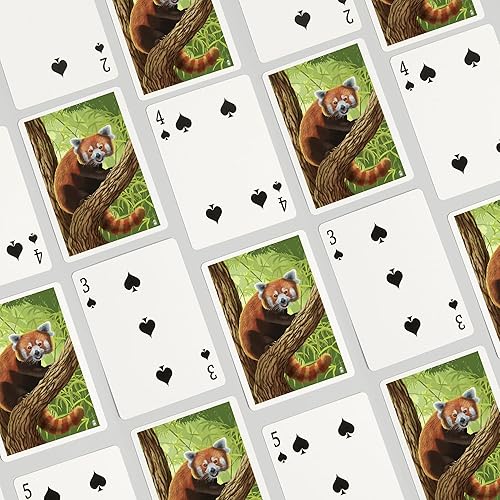 Miniatura 4 de Lantern Press Panda rojo (52 cartas de juego, baraja de cartas de tamaño póquer con comodines)