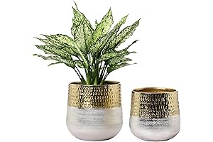 Silver and Brass Indoor Planter Pots for Vibrant Home Decor