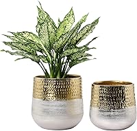 MyGift Set of 2 Hammered Brass & Silver Tone Metal Indoor Planter Pots - Handcrafted Round Two-Toned Vases for Plants, Herbs & Flowers