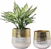 【RAFLUM】BOTH SIDES LOGO ECO POT MILO MyGift Round Two-Toned Indoor Planter Pot, Hammered Brass