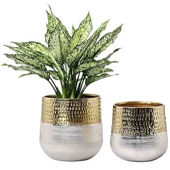 宮下将太 / silver dwarf pot planter 鶴仙園 宮下将太 silver dwarf pot（𝗞𝗔𝗞𝗨𝗦𝗘𝗡-𝗘𝗡 𝗖𝗼