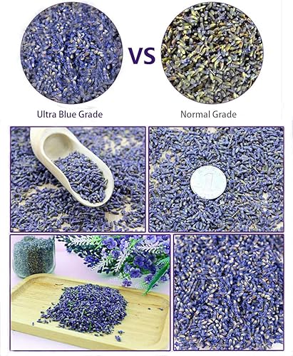 Miniatura 8 de TooGet Fragrant flores de lavanda orgánicas secas extra azules 12 libra