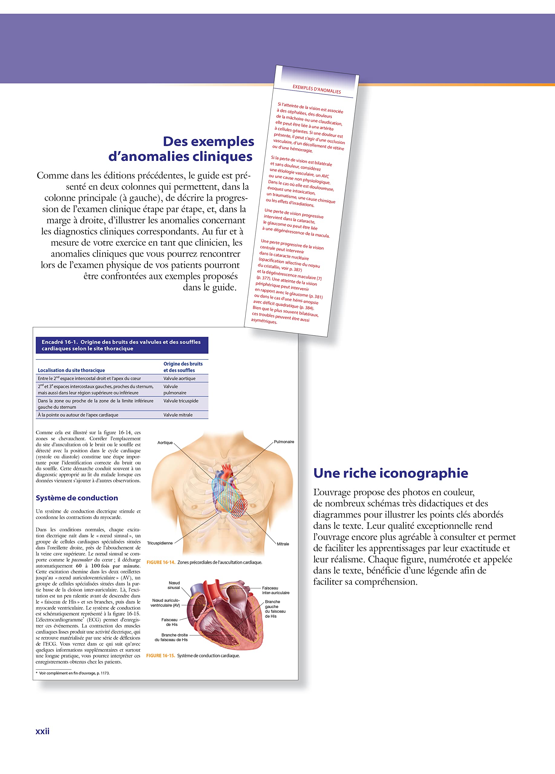 Guide de l'examen clinique: (8e édition française - 13e édition américaine)