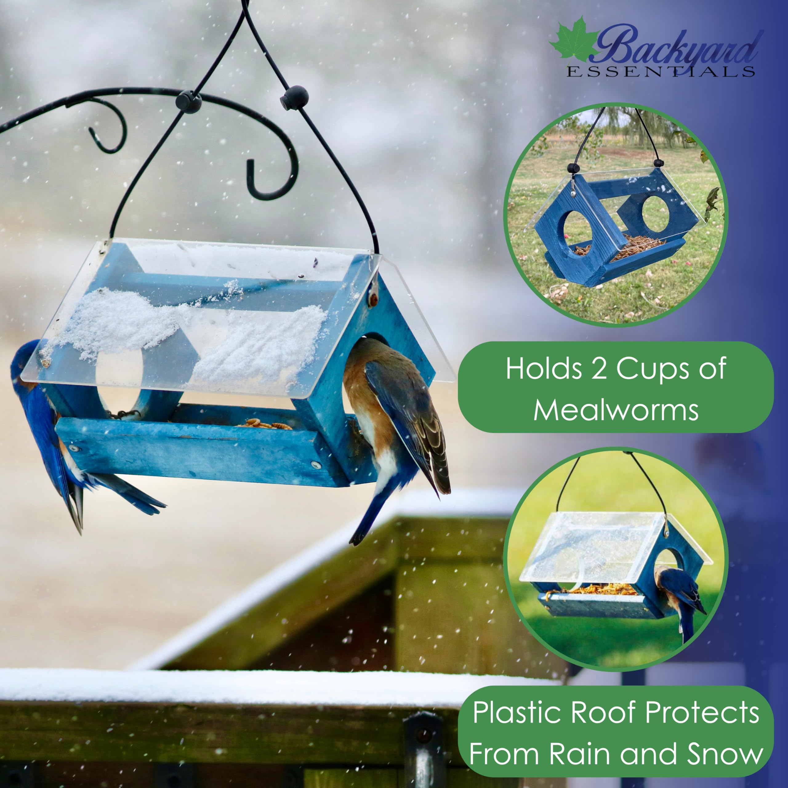 Petite Bluebird - Comedero con Techo de plexiglás y Bandeja de alimentación de Malla de Acero