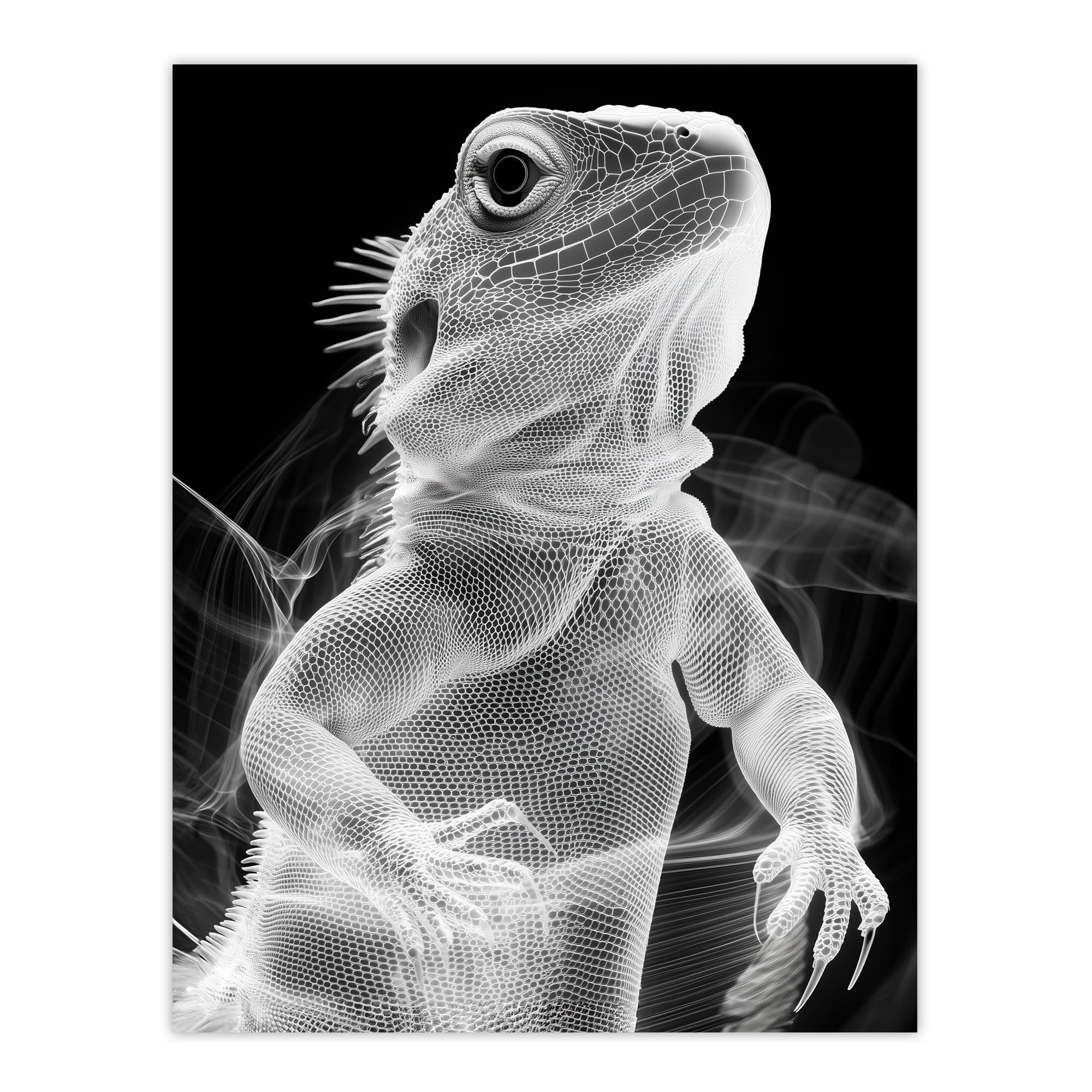 Artery8 Xray Effect Lizard Detailed Scales White on Black Living Room Extra Large XL Wall Art Poster Print