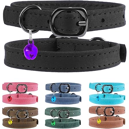 bioflow magnetic collar