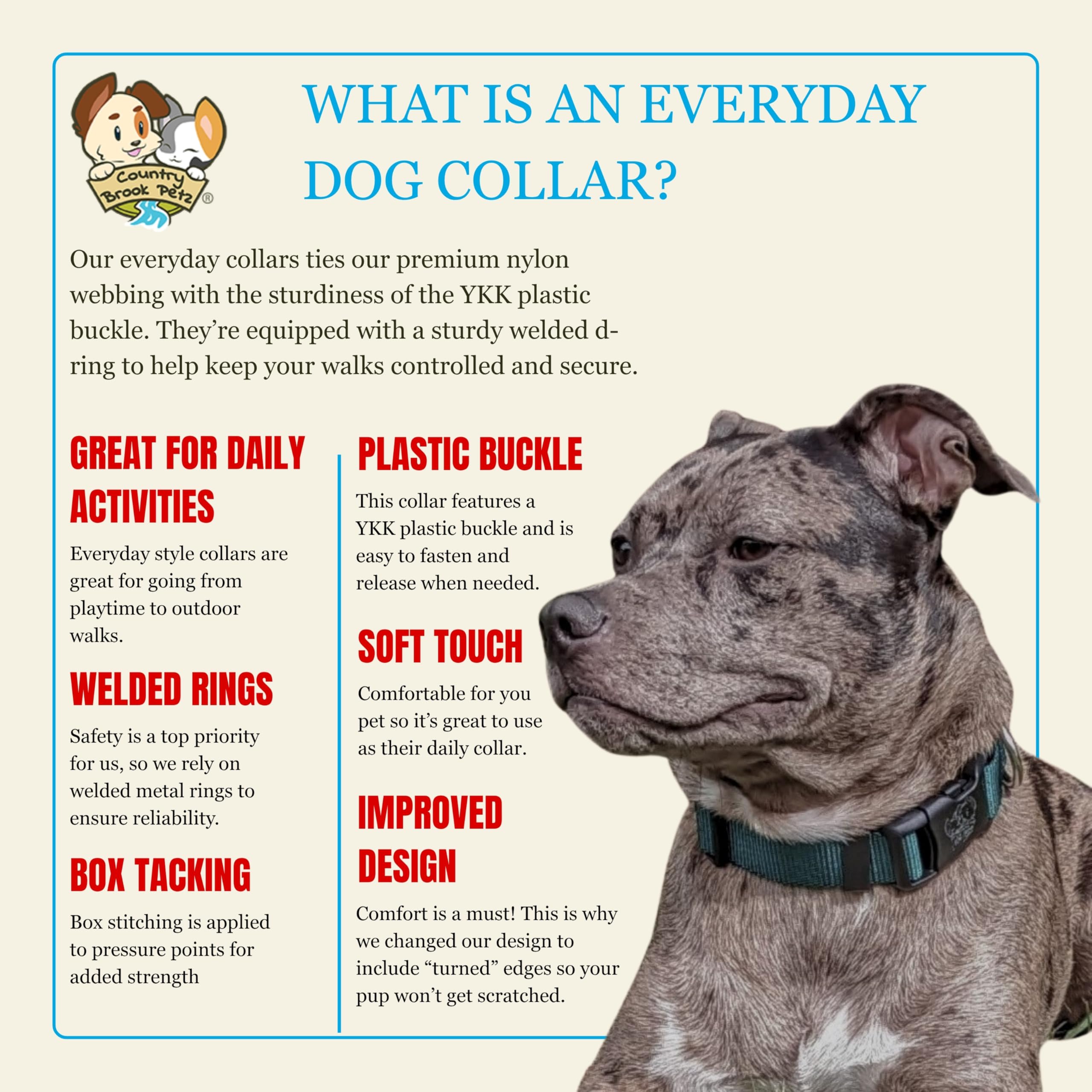 Country Brook Petz Hundehalsband, Nylon, für große, mittelgroße und kleine Hunde und Welpen, für den täglichen Gebrauch, in über 30 Farben (groß, 2,5 cm breit, grün)