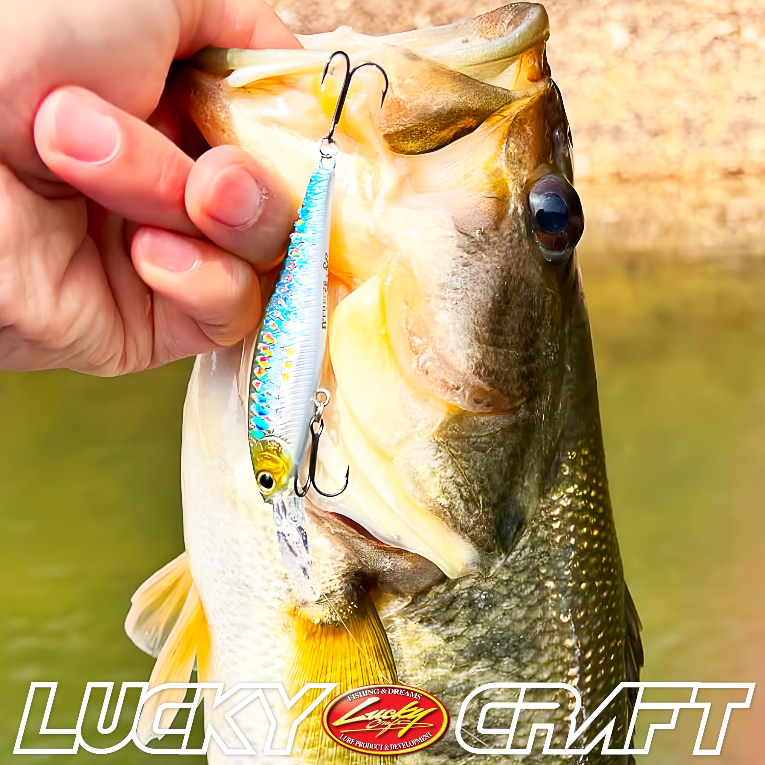 ラッキークラフト　ビーフリーズ　 65　13個セット ラッキークラフト ビーフリーズ 65 13個セット Lucky Craft JAPAN - B