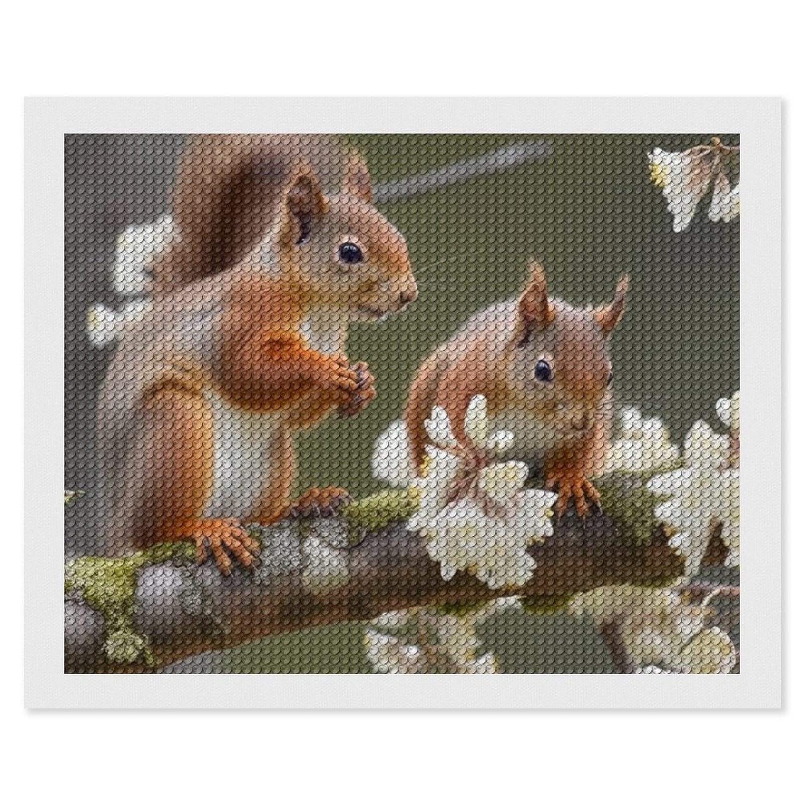 Squirrels Diamond Art Kits for Adults, DIY 5D Diamonds Painting Kits for Beginner, Round Full Drill Diamond Dots Painting, 16"x20" Diamonds Pictures Gem Art and Crafts Wall Decor