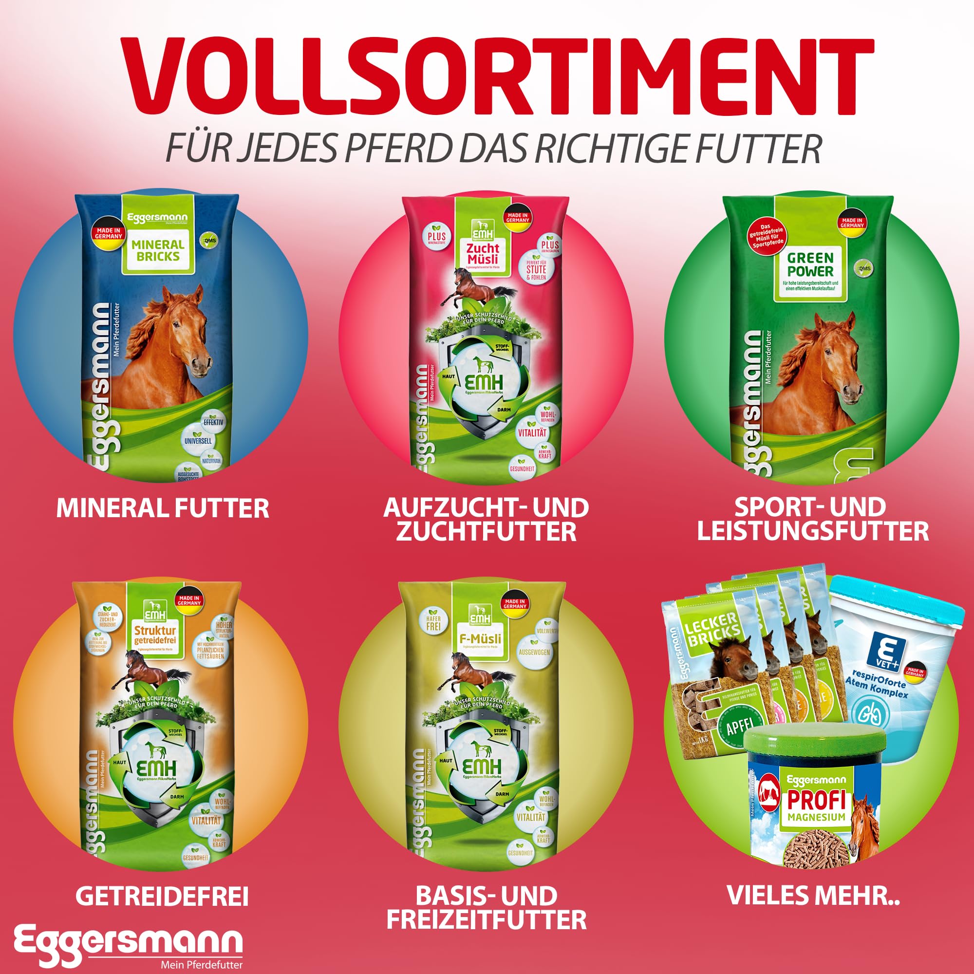 Eggersmann Profi Biotin Plus koncentrat dla koni, dodatkowa karma dla zdrowych kopyt i sierści, 1 opakowanie (1 x 1 kg)