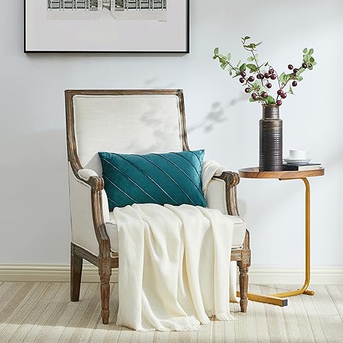 Vista 133 de GIGIZAZA Juego de 2 fundas decorativas de terciopelo de 18 x 18 pulgadas, fundas de almohada cuadradas de color verde azulado para sofá, fundas