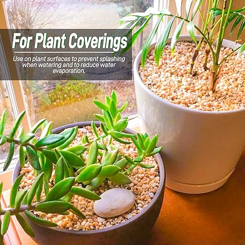 Miniatura 2 de Rocas de grava de cactus y guisantes de 45 libras, guijarros de 15 pulgadas para plantas de interior, rocas suculentas naturales y rocas de río