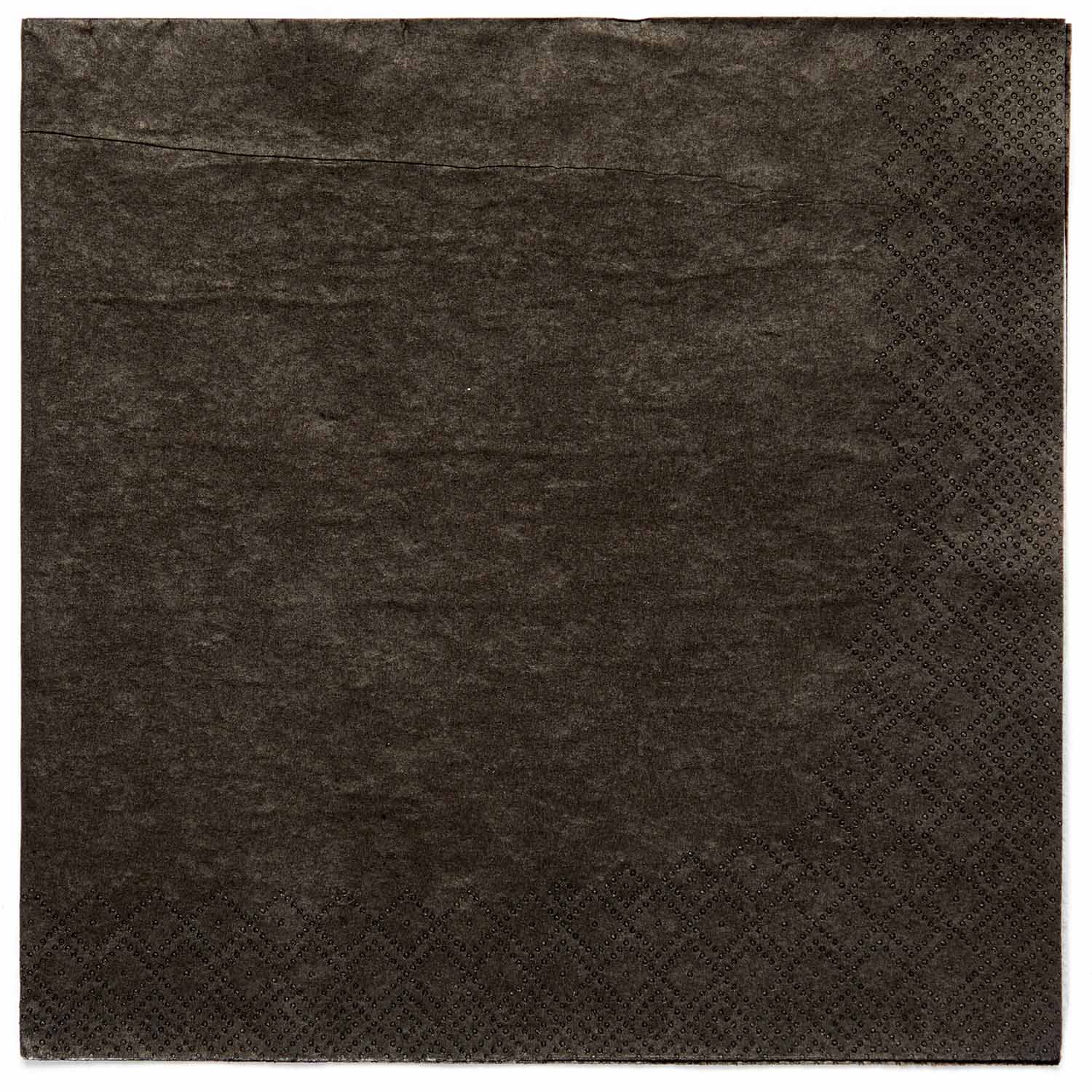 Amscan 9915402-216 - Charcoal Black Eco-Friendly Compostable Luncheon Napkins - 20 Pack
