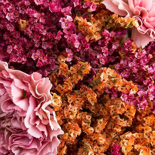 Miniatura 3 de KORRES Aceite de ducha de suero suavizante instantáneo, aceite corporal hidratante para hombres y mujeres, cuidado diario de la piel después de la