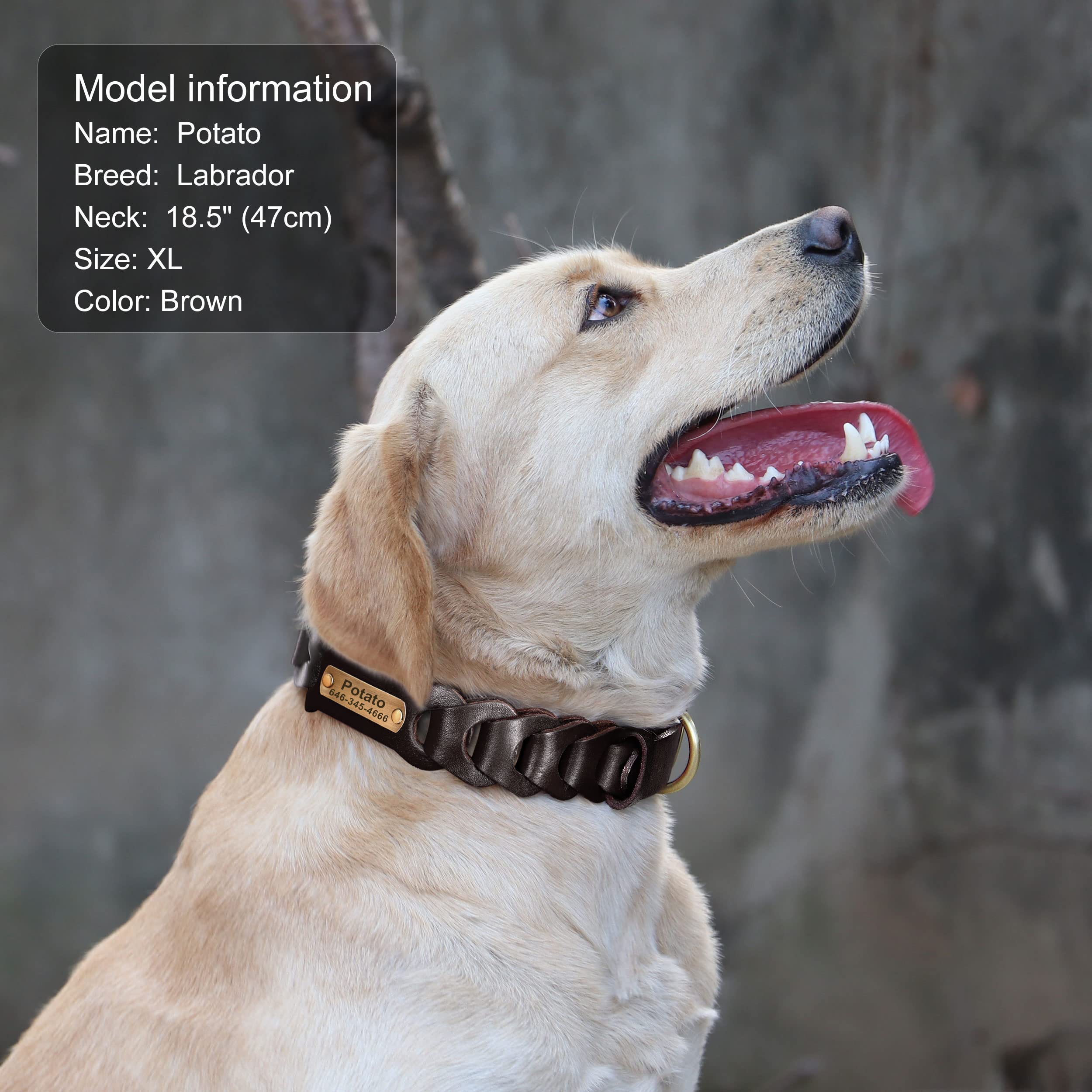 Didog Personalisiertes Leder-Hundehalsband – Handgeflochten, Mit Namensschild, Für Große Hunde (XL Bis 53 Cm) – Braun, Robust & Stylisch