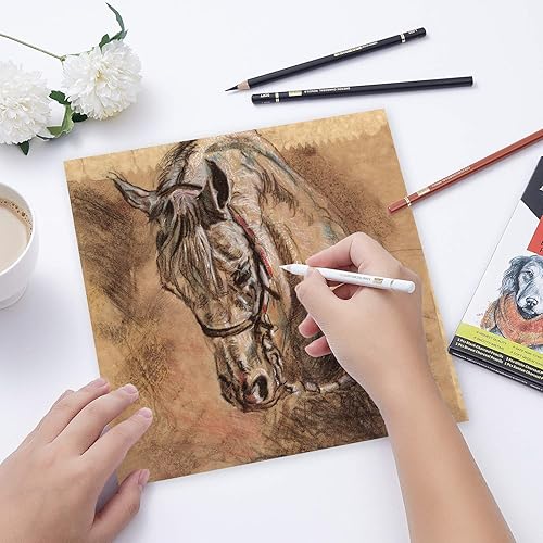 Miniatura 3 de MARKART Lápices de carbón para dibujar, paquete de 10 lápices de carbón blanco y negro para bocetos, sombreado, mezcla, lápiz de artista para