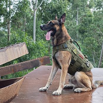 Amazon.com : OneTigris Large Tactical Dog Harness, No