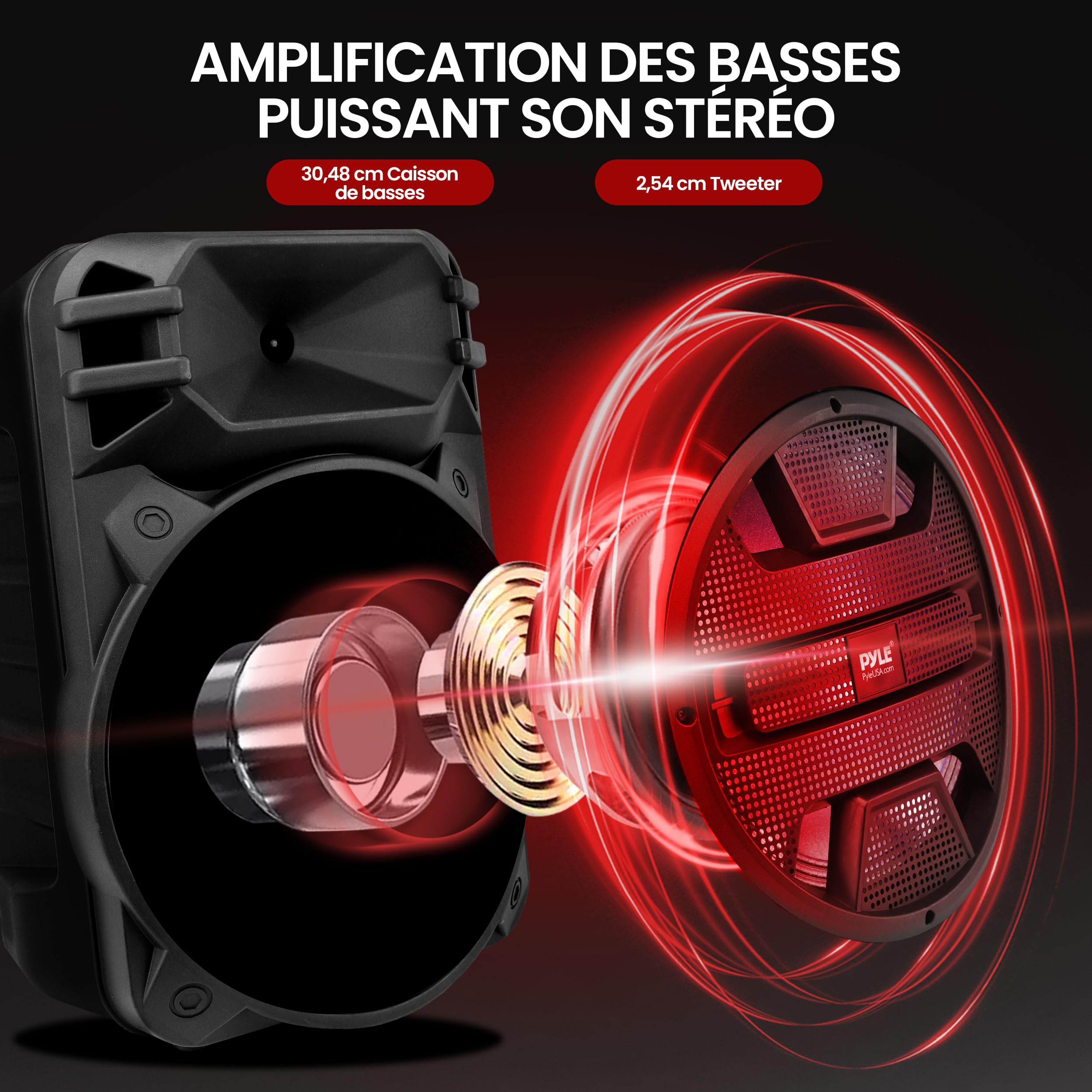Pyle Système d’Enceinte Bluetooth Puissante Portable 30,48 cm- 800 Watts-Haut-Parleur de Karaoké-Entrées USB/FM/Bluetooth/Aux/Micro et Batterie Rechargeable Intégrée-Sono Portable