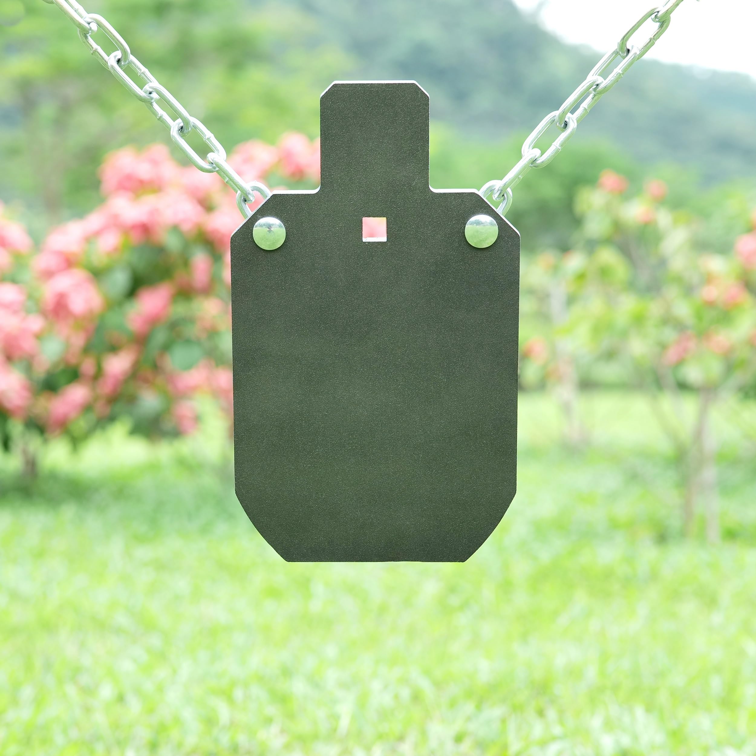 AR500 Steel Target for Shooting, 1/2