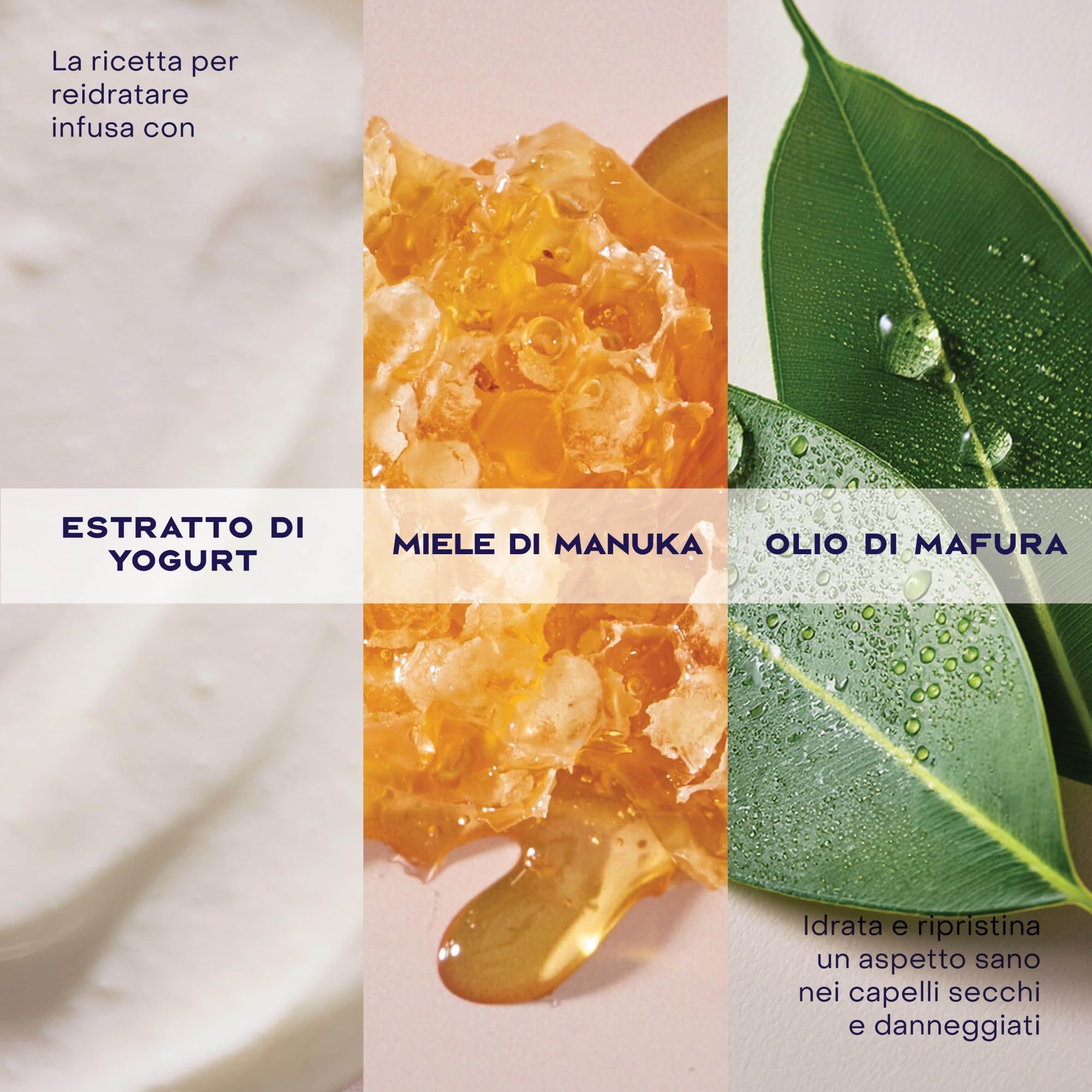 SheaMoisture Maschera Hydrate & Repair Protein Power, Per Capelli Ricci Secchi e Danneggiati, Capelli più Forti, Rottura Ridotta, Con Miele di Manuka, Yogurt, Proteine e Burro di Karité, 355ml