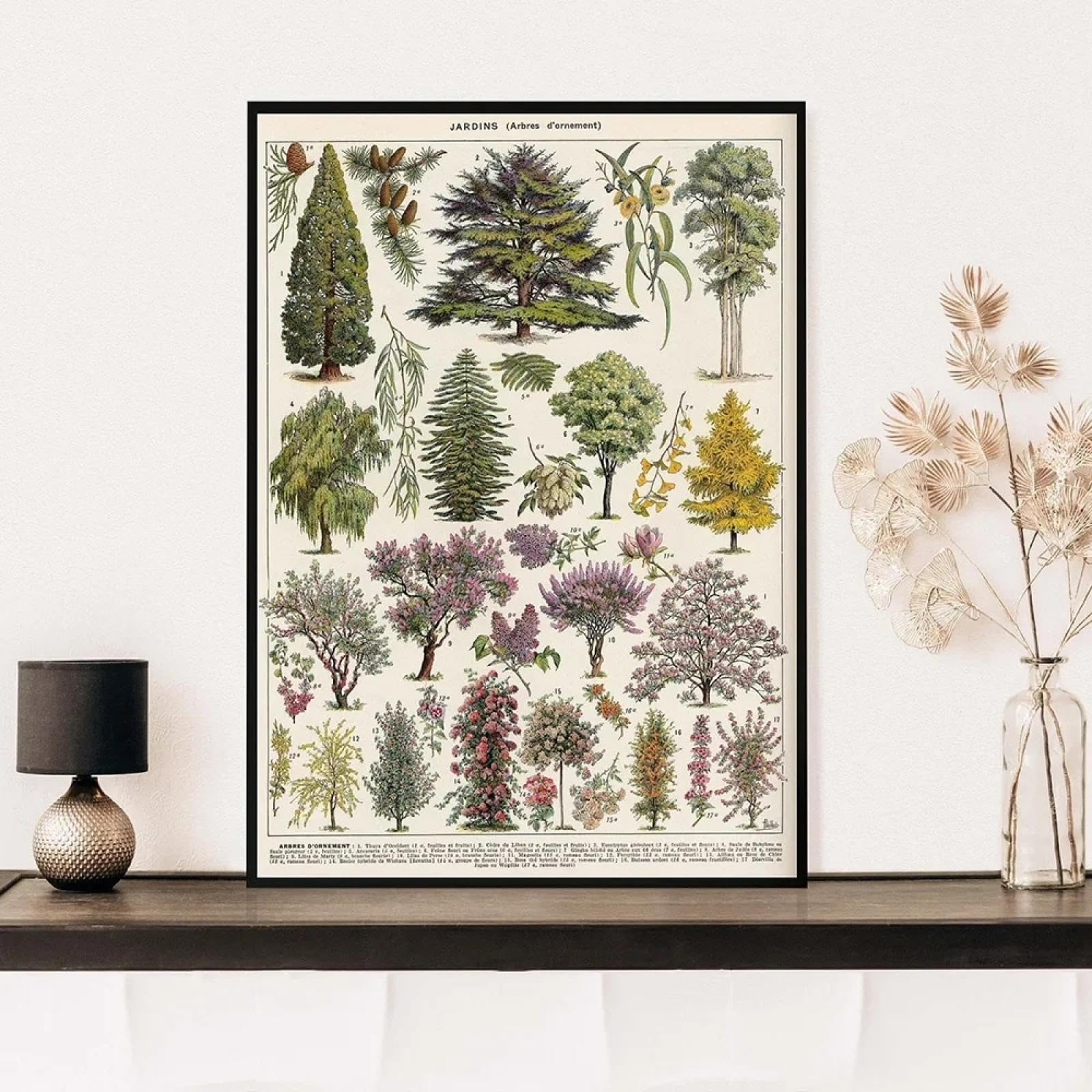 lianyibo Vintage Adolphe Millot encyklopedia plakaty i nadruki botaniczne grzyby, zioła, kwiaty, obraz na płótnie, sztuka ścienna, dekoracja 50 x 70 cm, bez ramy