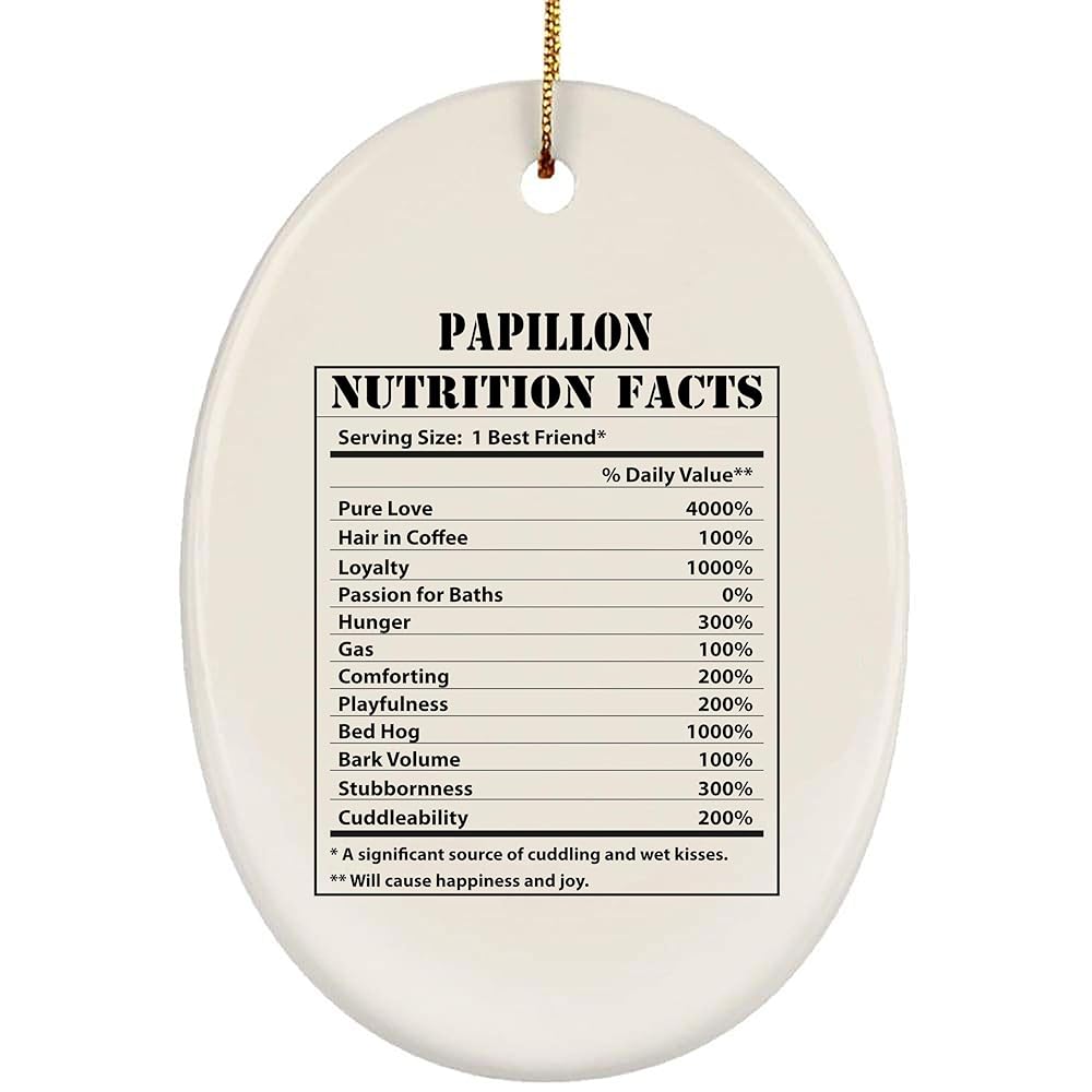 30 Best Gifts for a Papillon Owner - iHeartDogs.com 28 817KdHCEsFL. SL1000