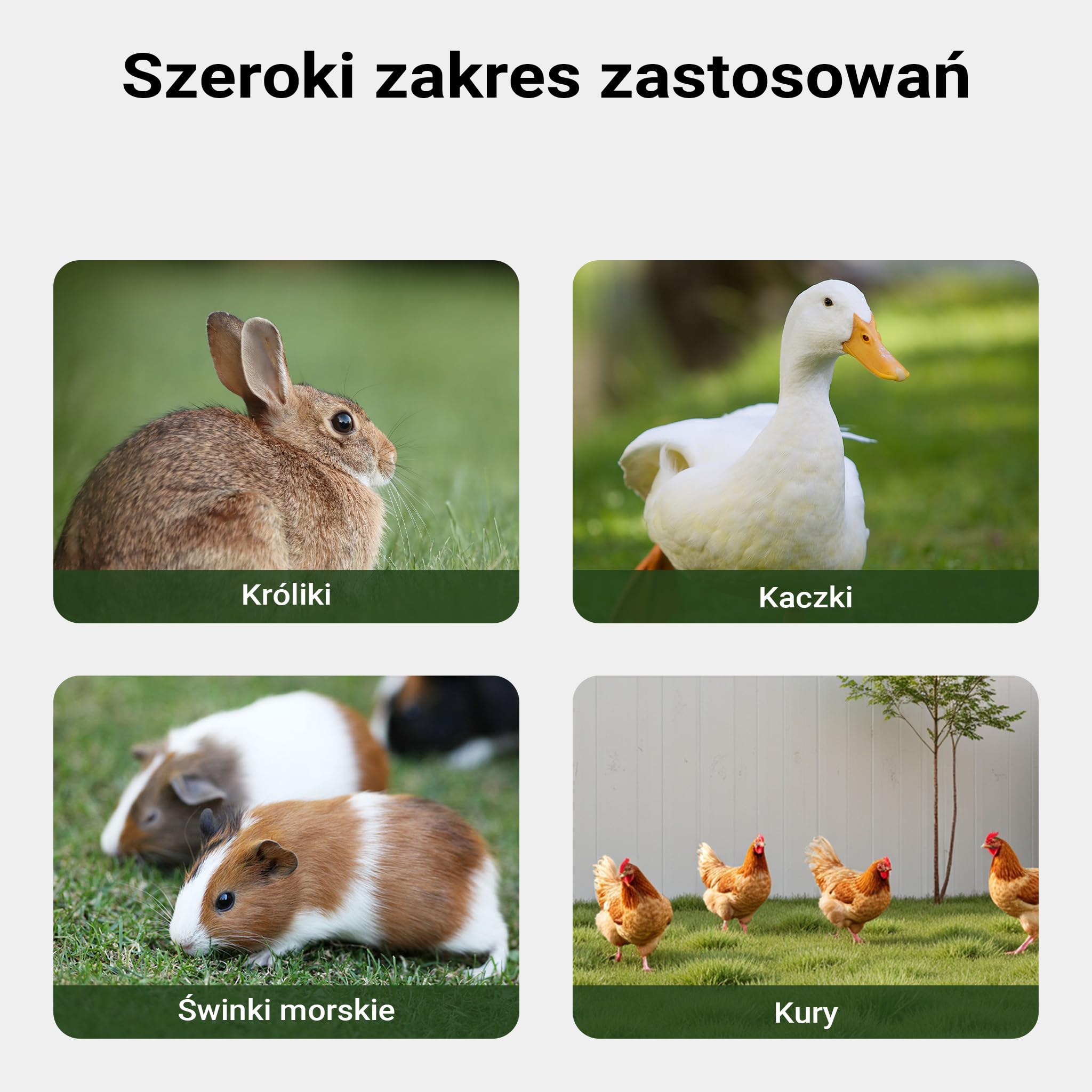 Kurnik klatka drewniana 136x74x70cm ze skrzynką lęgową wysuwaną tacą do czyszczenia czerwono-brązowy