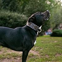 Vista 6 de BlazingPaws® Sabrington - Collar de perro de cuero con púas de lujo de 2 pulgadas de ancho para perros grandes con púas atornilladas en cuero negro