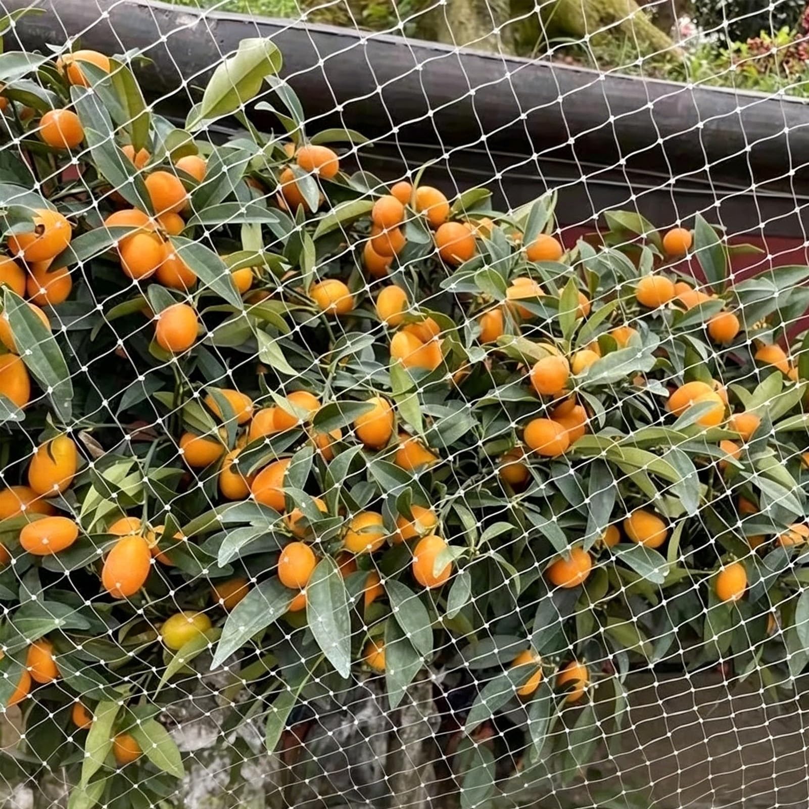 Rete Antiuccelli Rete Antiuccelli per Alberi da Frutto e Protezione del Giardino, Barriera contro i Parassiti Resistente ai Raggi UV e agli Agenti Atmosferici(32x131ft(10x40m))