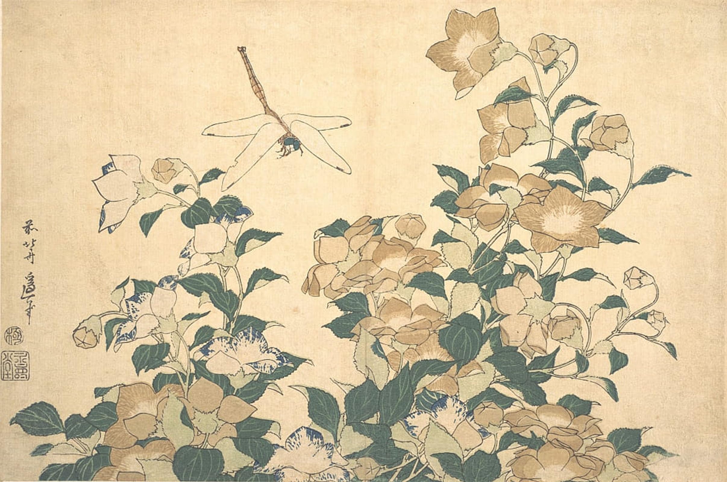 SERENDIPITP Vintage Picture Print on Canvas Wall Art Poster Dragonfly and Bellflower by Katsushika Hokusai Artwork Print Poster for Wall Decor 60x90cm