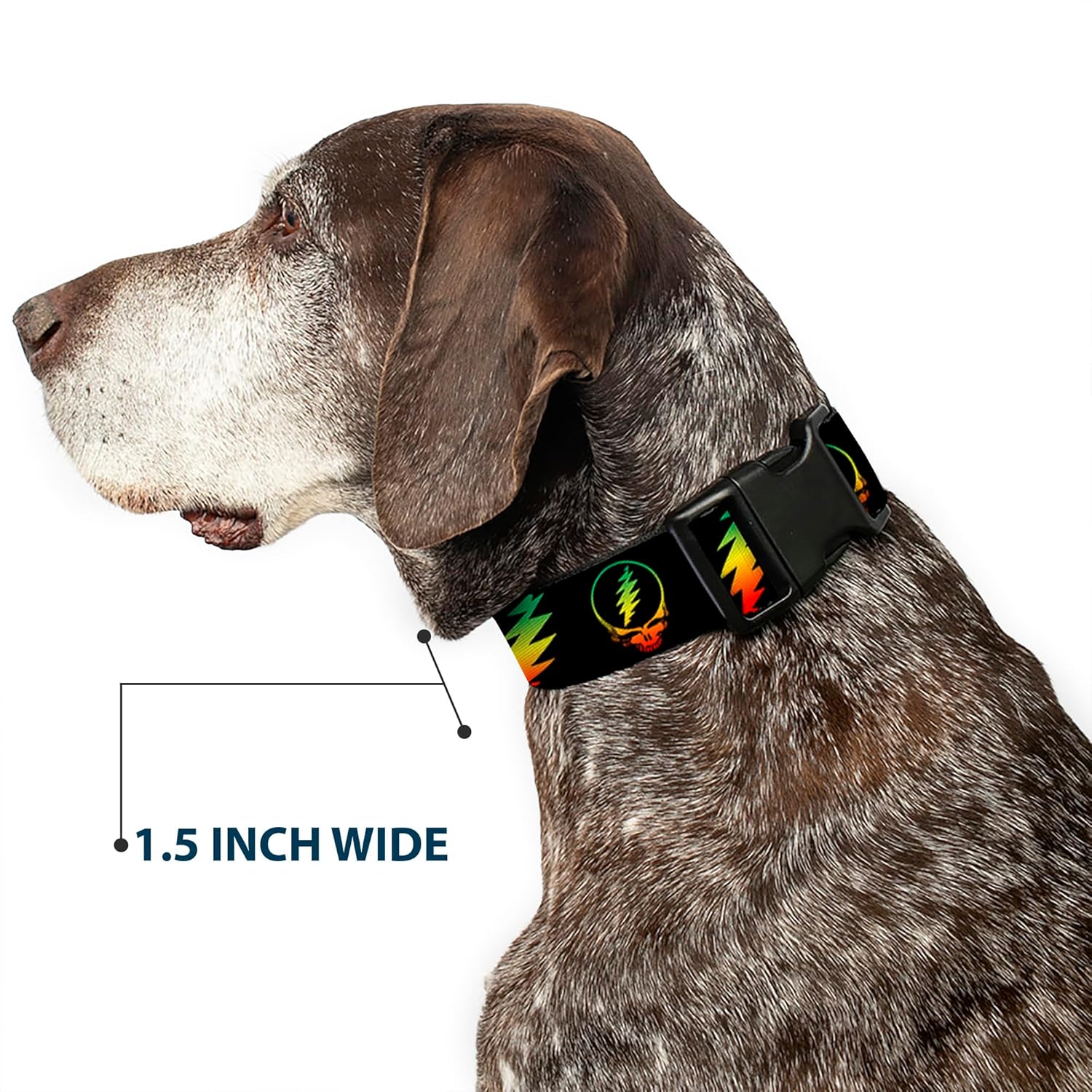 Buckle-Down Dog Collar Plastic Clip Steal Your Face Lightning Bolt Repeat Black Rasta, Multicolor, 1.5" Wide - Fits 18-32" Neck - Large (PC-WGD018-WL)