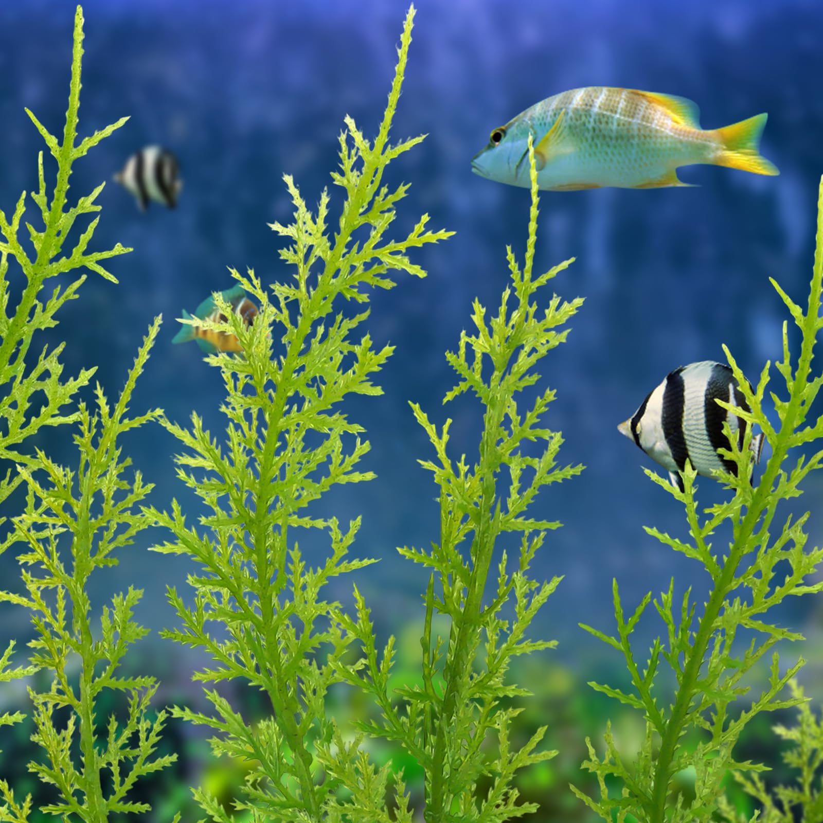 QUOZUO Accessoires pour aquarium - Grandes plantes vertes - Décoration d'aquarium - Plantes en plastique - 3 pièces