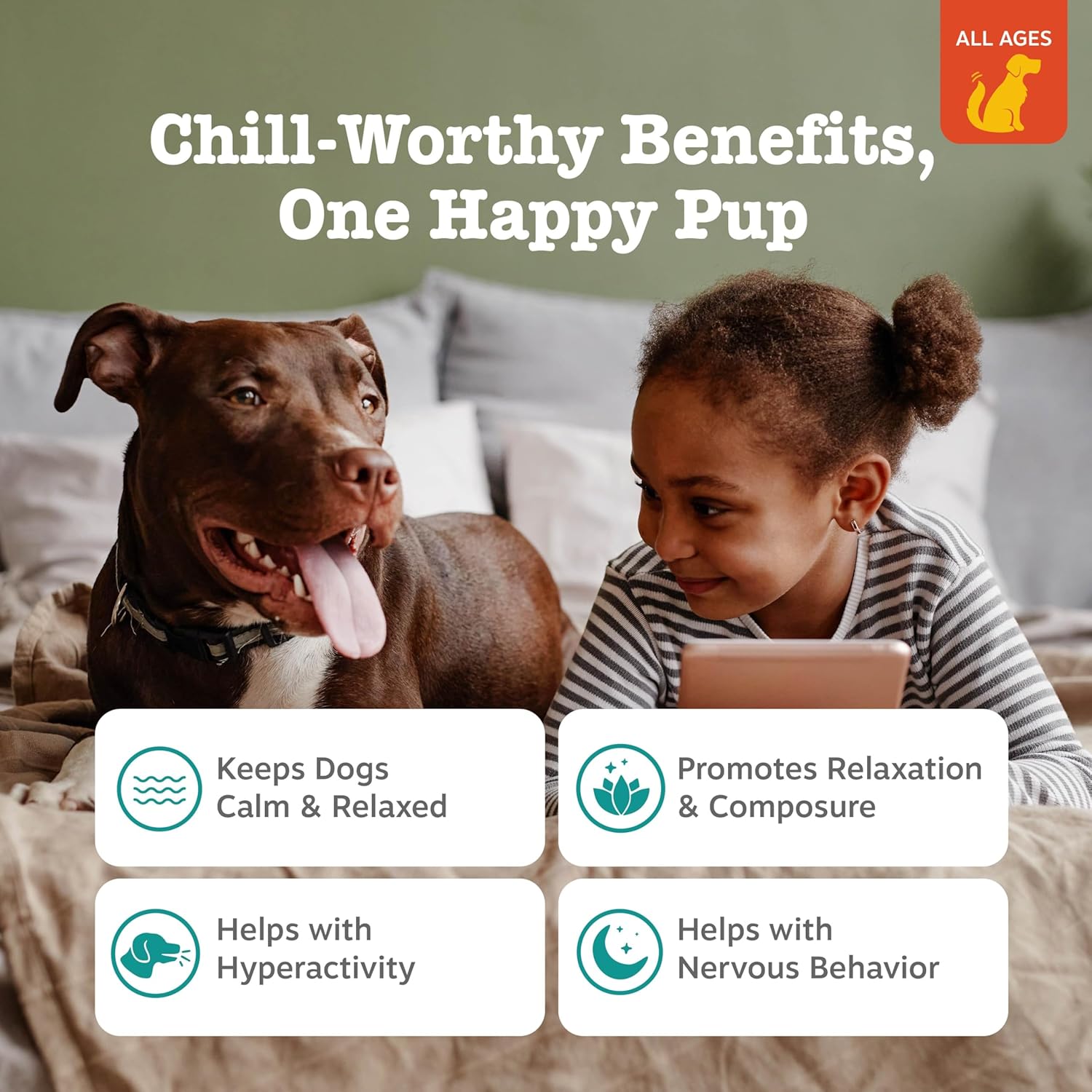 Zesty Paws Flavored Soft Chews - Calming for Dogs Anxiety Composure Relief with Ashwagandha Melatonin Chamomile Passionflower Dog Stress Separation Aid for Fireworks and Thunder 20 oz