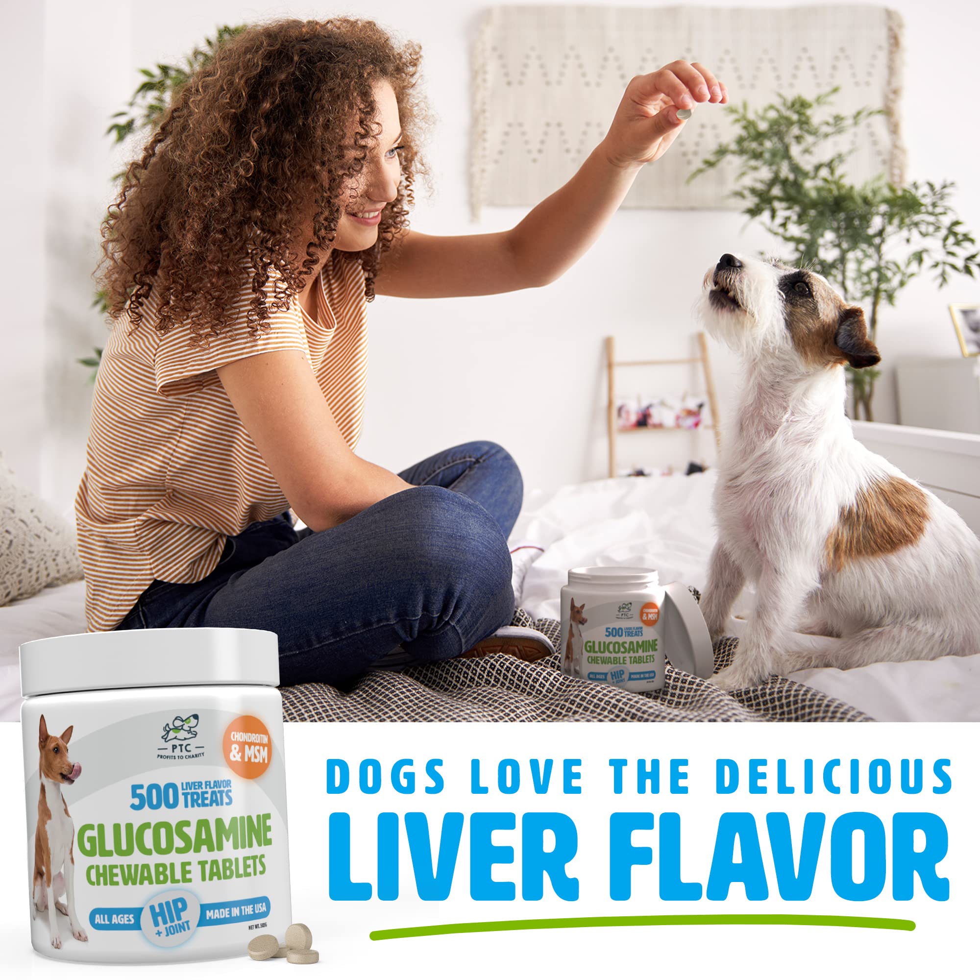 Glucosamine for Dogs with Chondroitin and MSM - Hip and Joint Supplement for Dog Mobility Support and Arthritis Pain Relief - 500 Chewable Tablet Treats by PTC - Profits to Charity - image 2