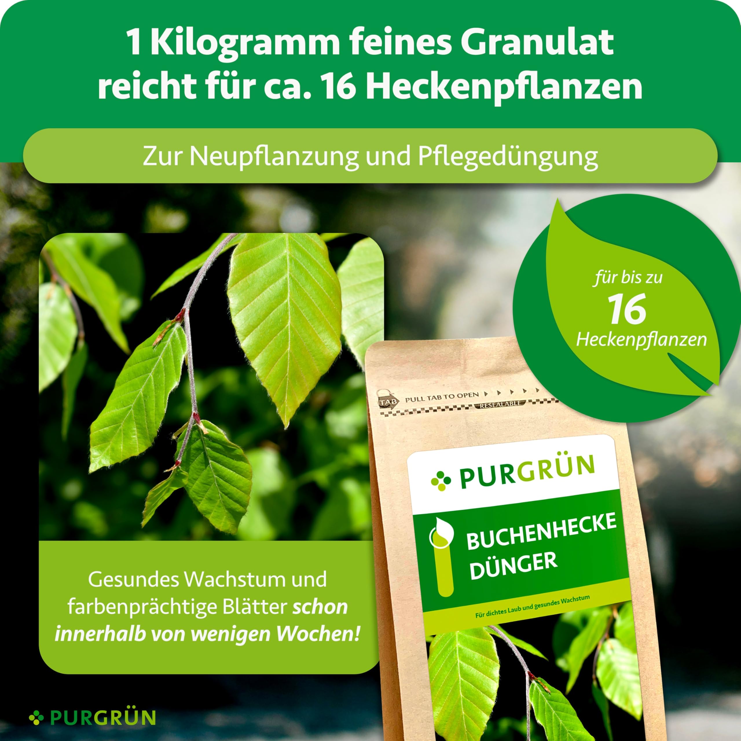 Buchenhecke-Dünger 1 kg – Organisch-mineralische Rezeptur – Feinkörniges Krümelgranulat – NPK 9+4+8 – Extra Magnesium für leuchtend grüne Blätter – Verbessert die Bodenqualität