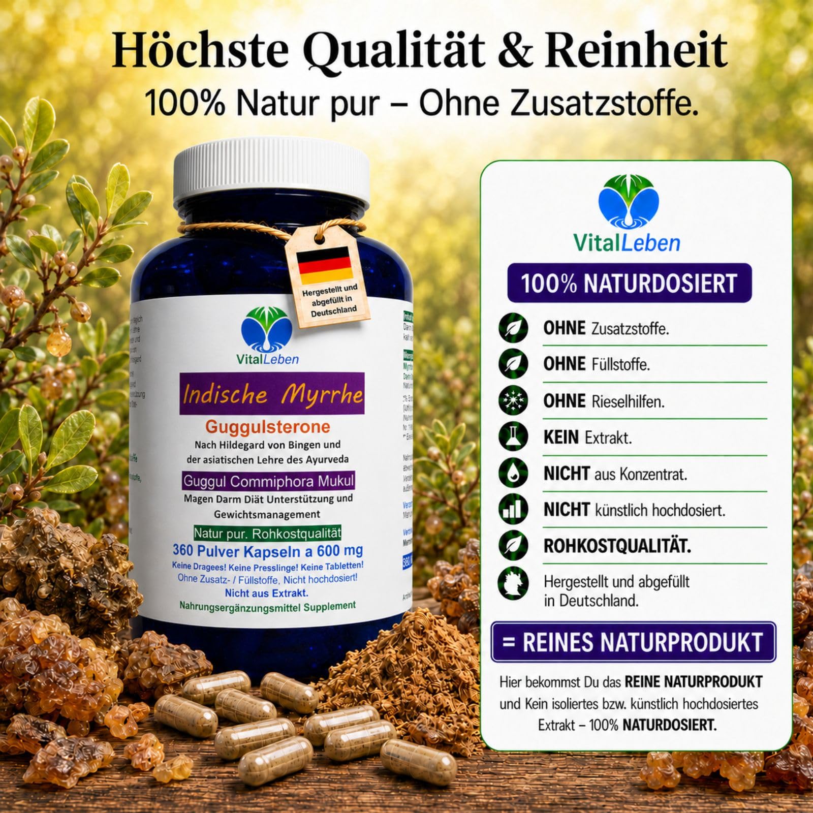 GUGGUL Indische MYRRHE Ayurveda Guggulsterone 360 Pulver Kapseln - Commiphora Mukul Premium Qualität. NATUR PUR - OHNE ZUSATZSTOFFE - OHNE FÜLLSTOFFE. Abgefüllt in Deutschland. 26810-360