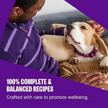 Wellness Complete Health Small Breed Adult Dry Dog Food, Grain Free Kibble, Chicken and Salmon Recipe, 11 lb Bag