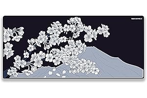 X-Raypad Aqua Control 2 Mouse Pad: Precision, Control, and Ultra-High Accuracy