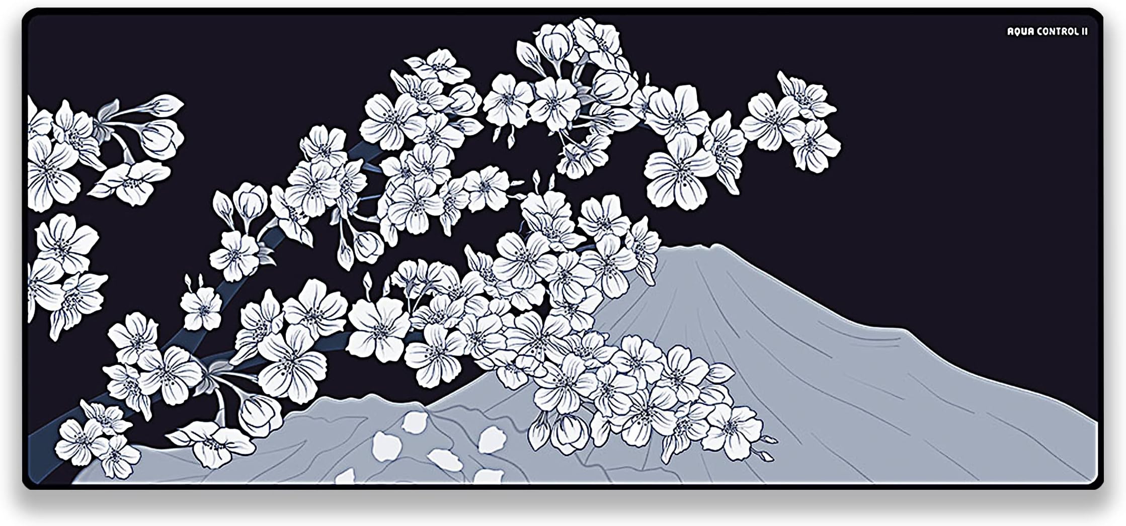 X-Ray X-Raypad Aqua Control 2 Gaming Mouse Pad, Ultra-High Precision Mouse Pad with Perfect Speed and Control Capability, Designed for Fps Players with Low DPI Requirements